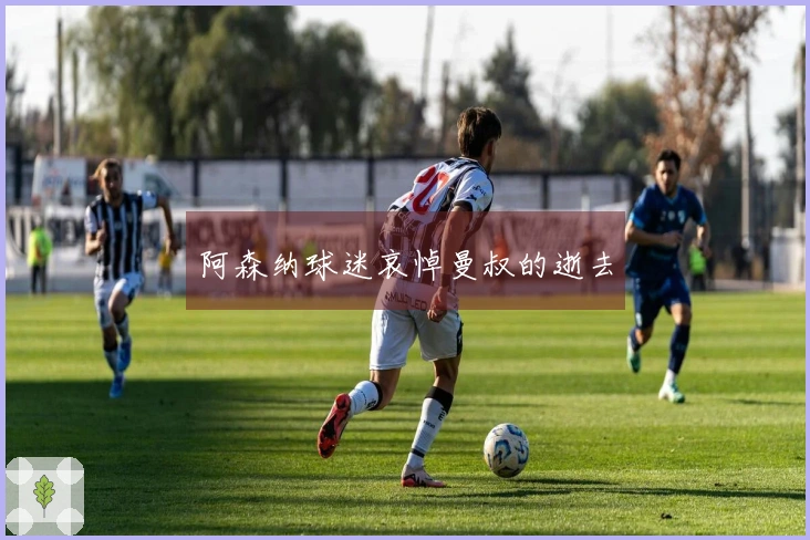 阿森纳球迷哀悼曼叔的逝去