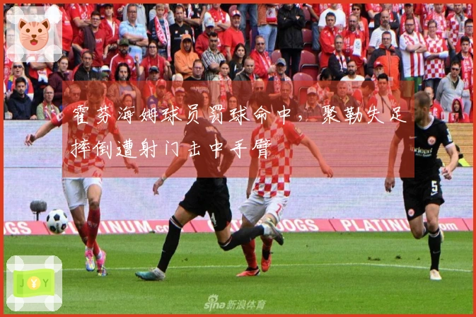 霍芬海姆球员罚球命中，聚勒失足摔倒遭射门击中手臂